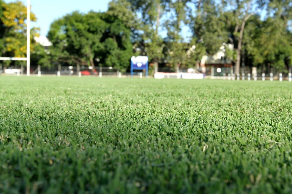 Jardín y huerta